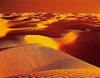 《雨中冒险：回归》和2代主机DLC将于11月8日发售