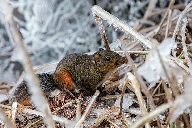 前《龙腾世纪》总监新作《永恒之链》公布2025路线图